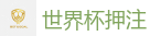 FIFA世界杯 (FIFA World Cup)官方竞猜指定平台